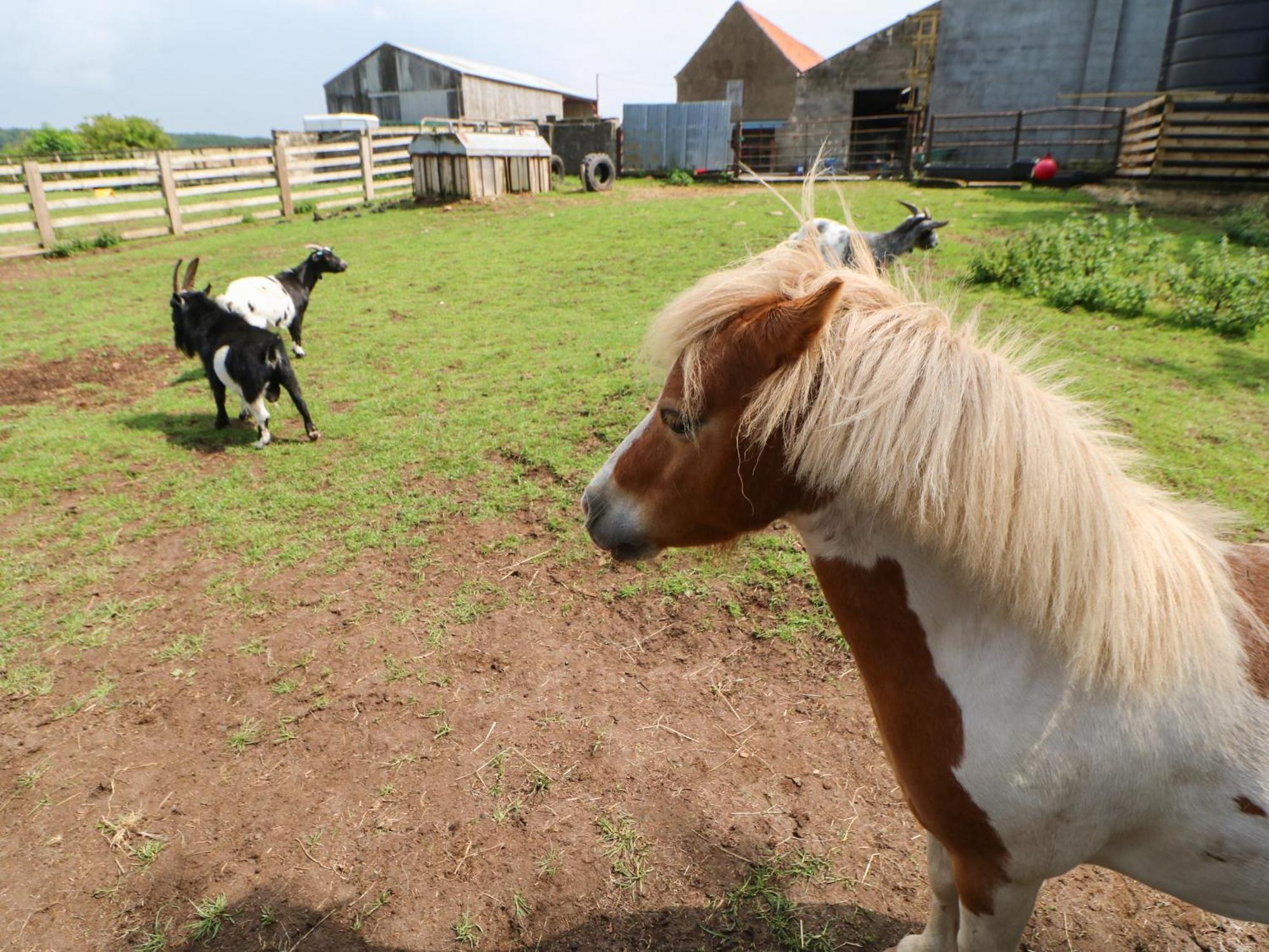 ノーサラートン Cornfieldヴィラ エクステリア 写真