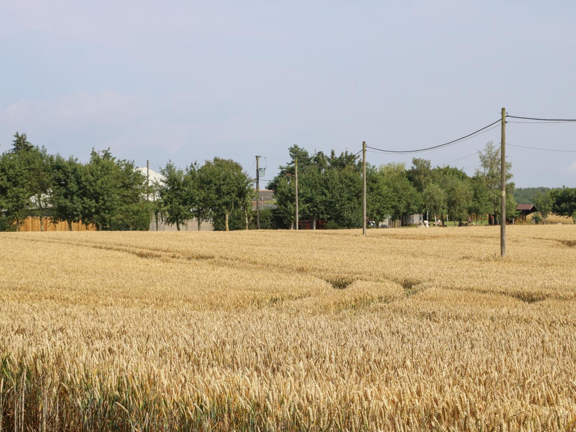 ノーサラートン Cornfieldヴィラ エクステリア 写真
